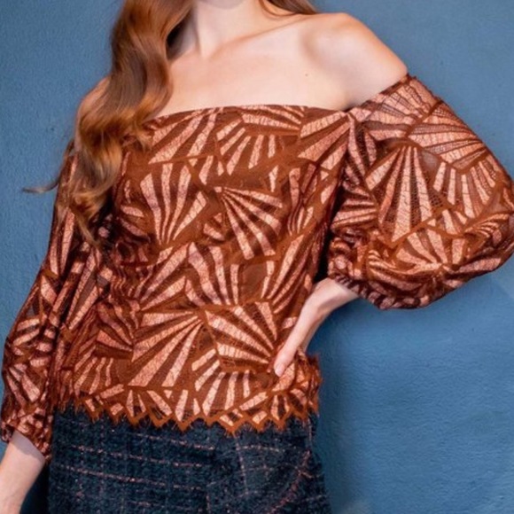 NWT Eva Franco Anthropologie Shine Bronze Lace Puff Sleeve Square Neck Blouse XL - Picture 1 of 13